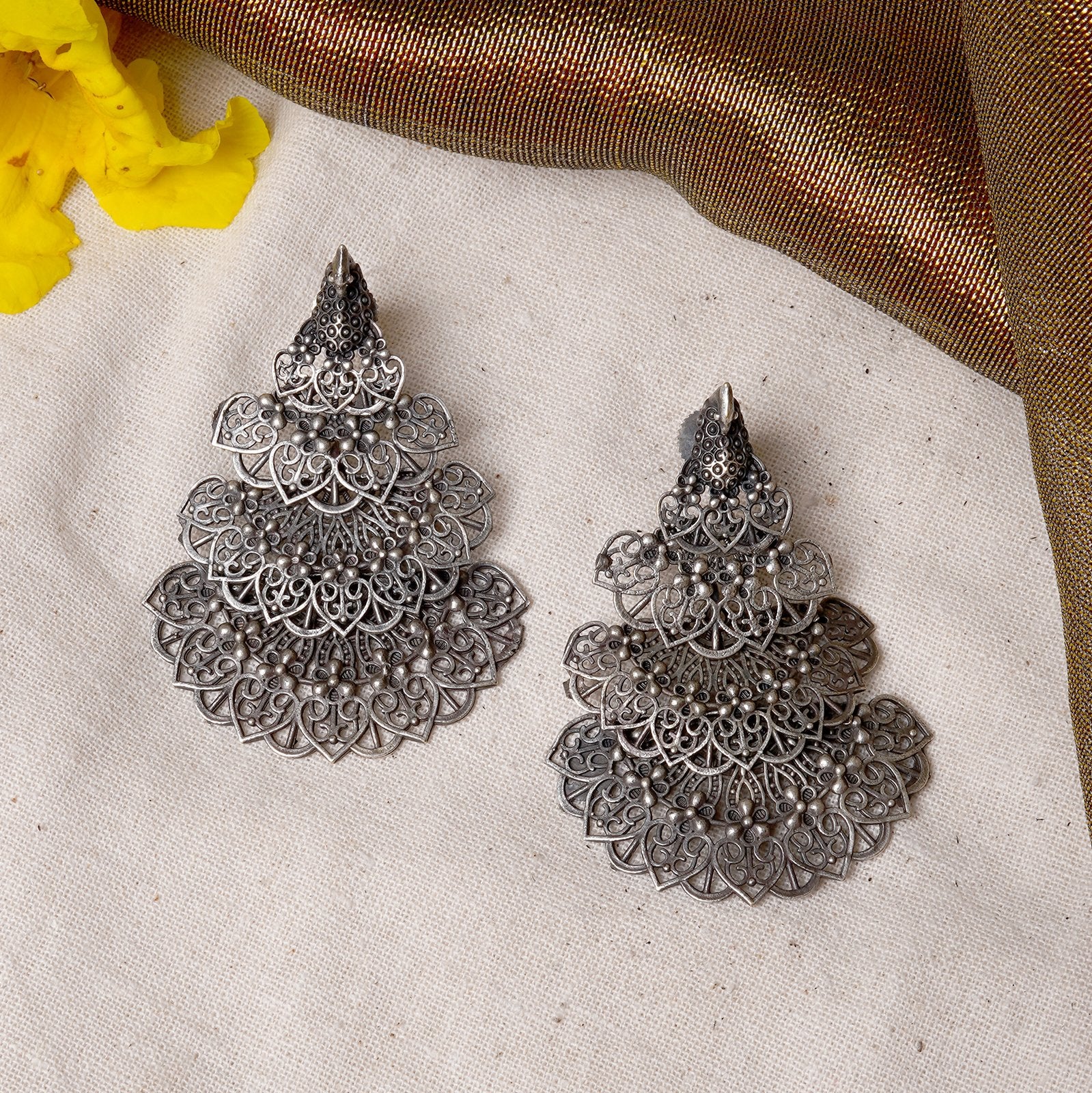 Teejh Anandita Silver Oxidised Earrings - Image 2