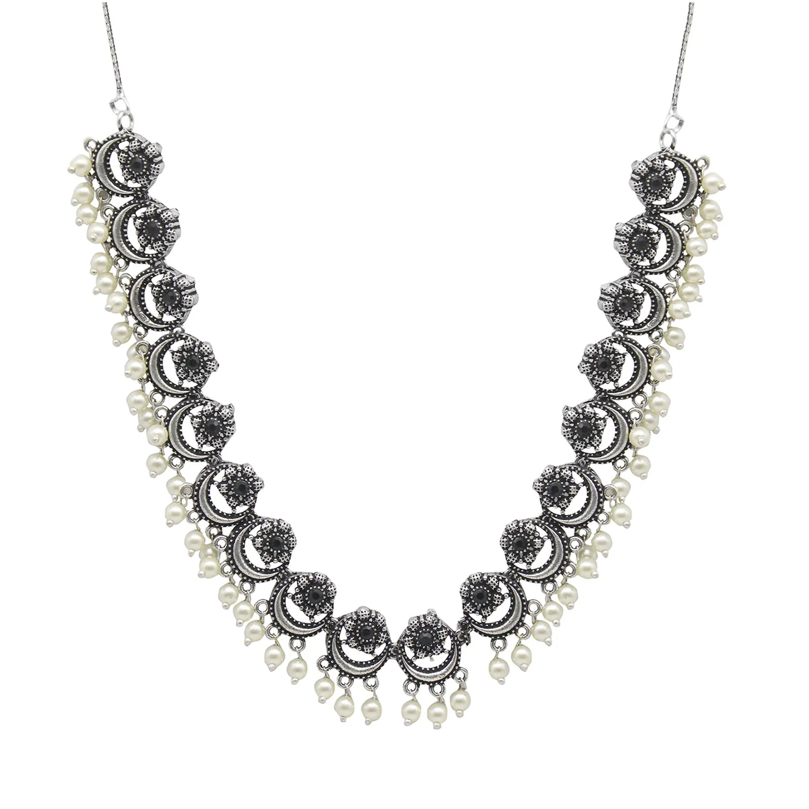 Teejh Ashvi Metallic Silver Oxidized Jewelry Gift Set - Image 3
